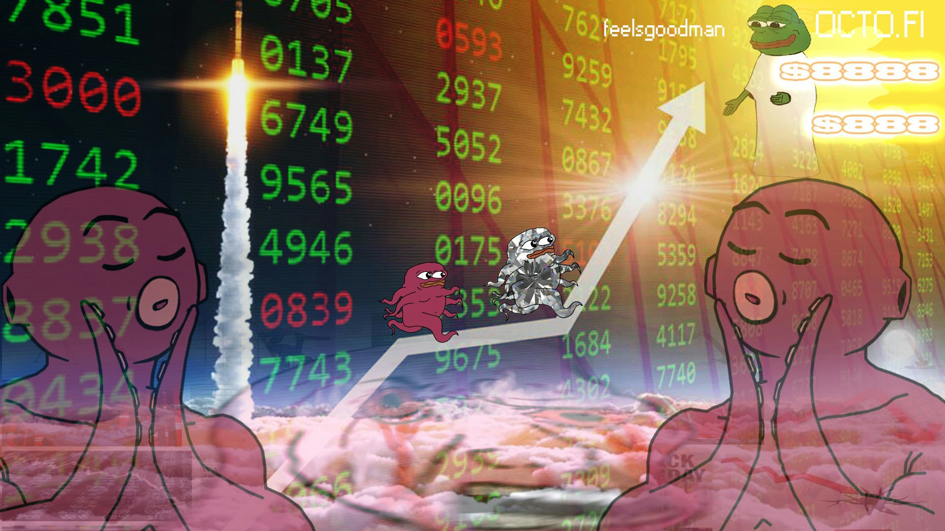 OctoFi gallery image