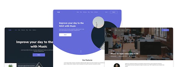 Loop Pro X gallery image
