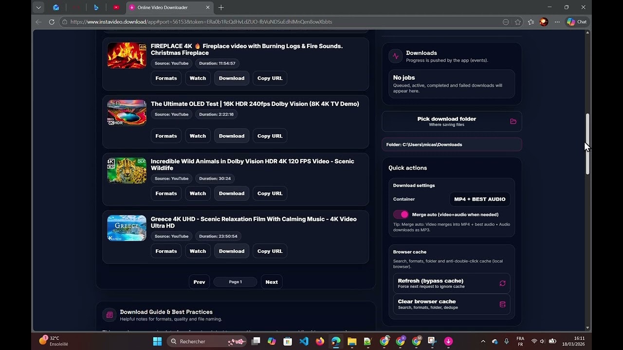 Online Video Downloader gallery image