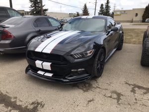 Vinyl Automotive Stickers Edmonton 