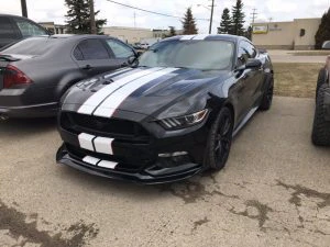 Vinyl Automotive Stickers Edmonton 