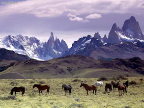 Life and Death in the Andes gallery image