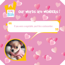 BLAHVO gallery image