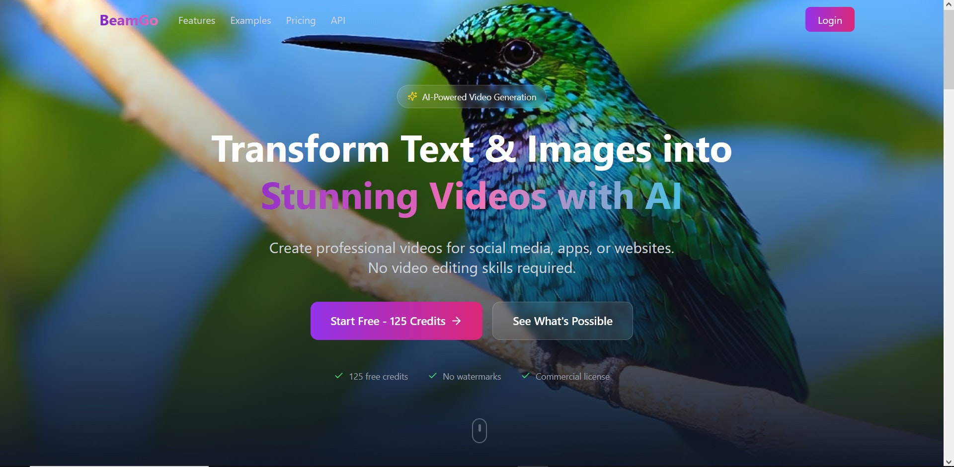 BeamGo - Main product screenshot demonstrating key features and user interface