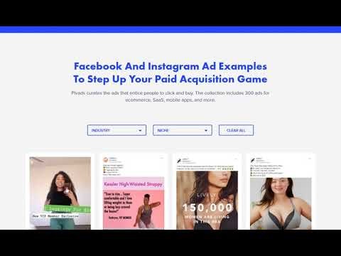 Pivads gallery image