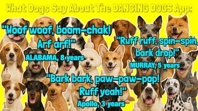 Dancing Dogs app gallery image