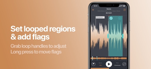 Transcribe+ gallery image