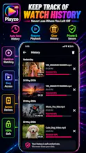 Video player for all format gallery image
