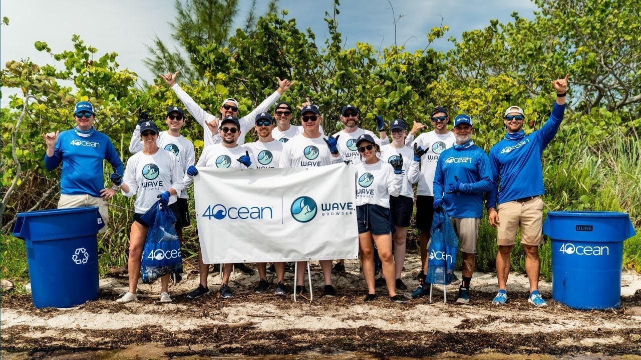 Wave Browser gallery image