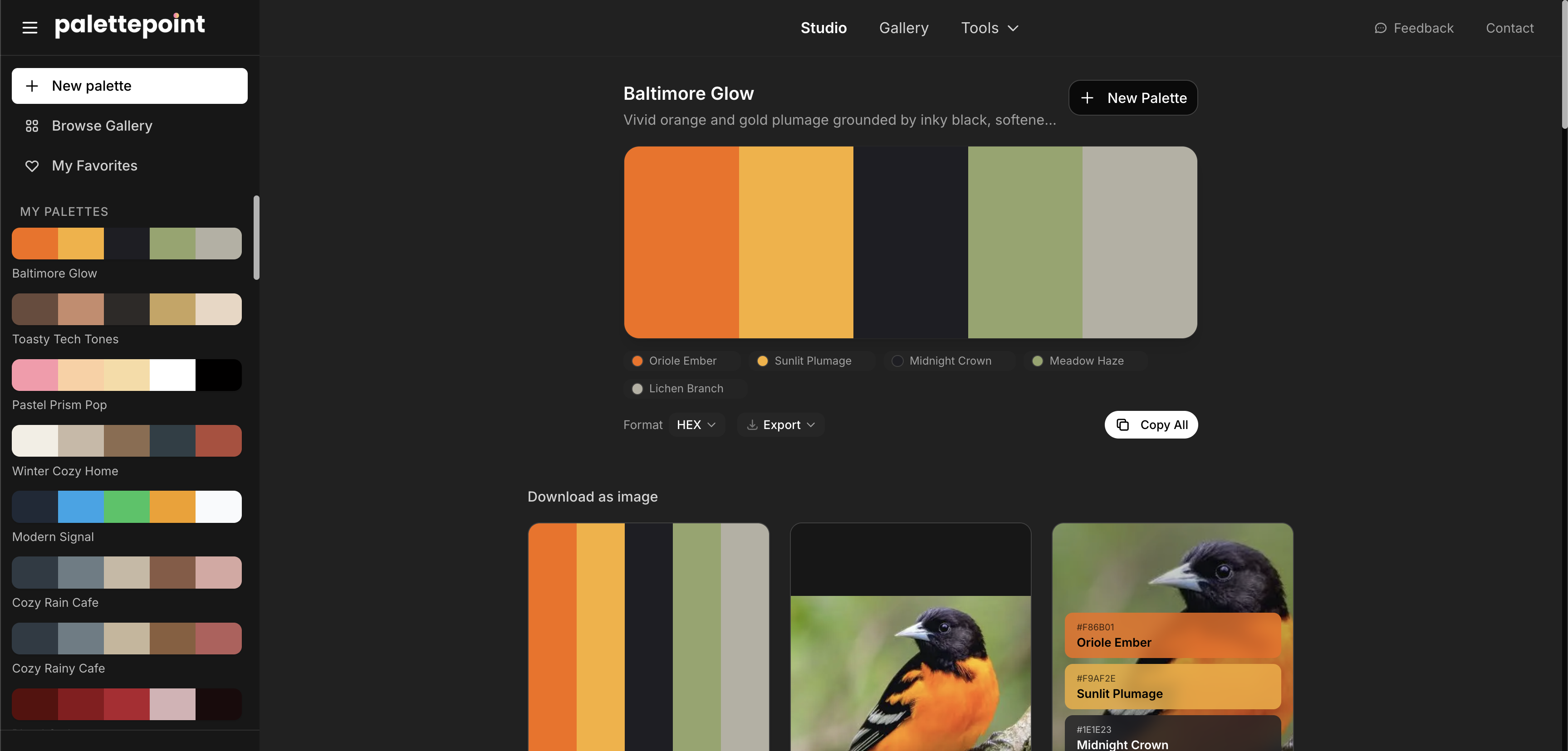 PalettePoint.com gallery image