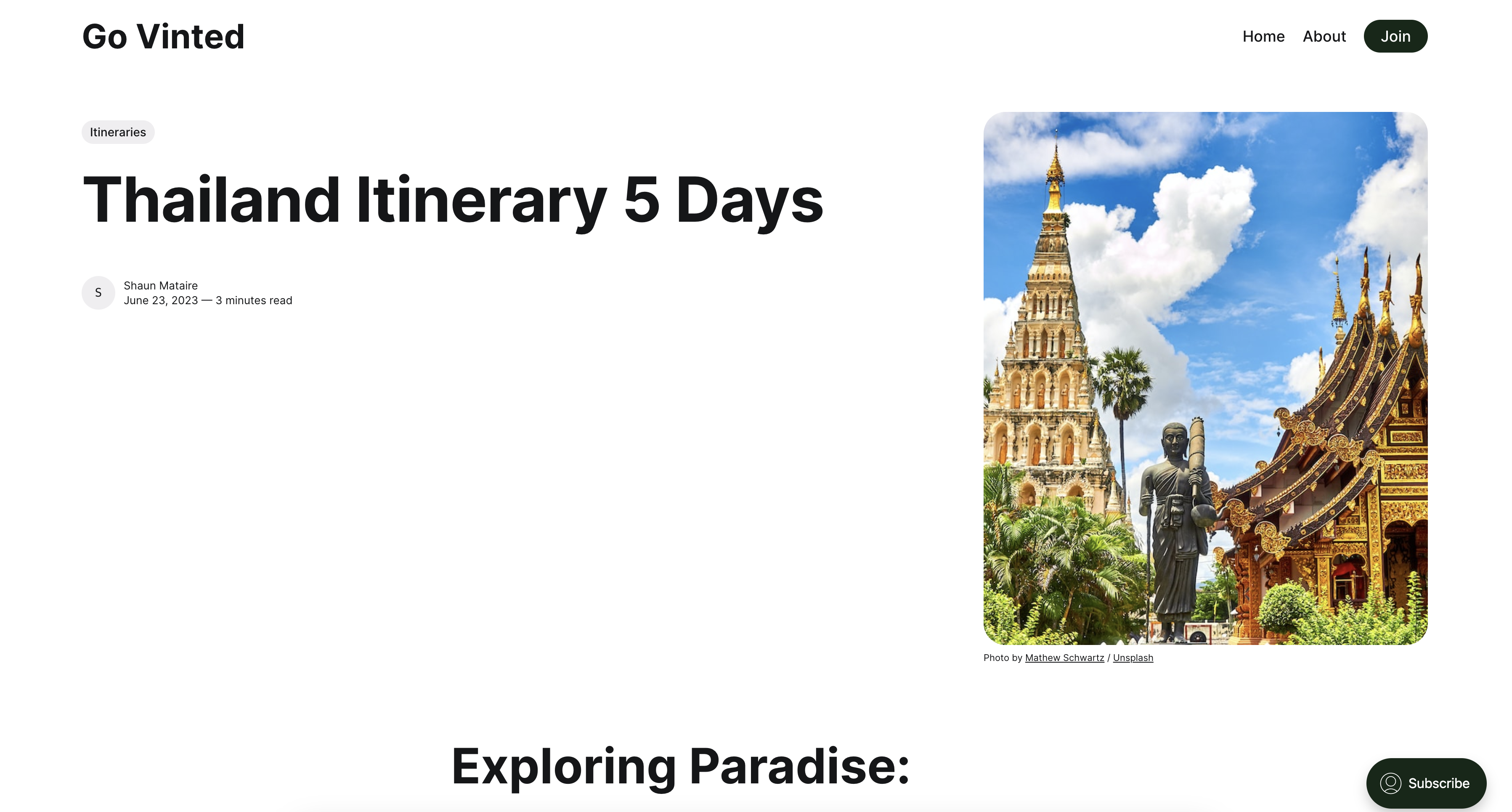 Go Vinted AI gallery image