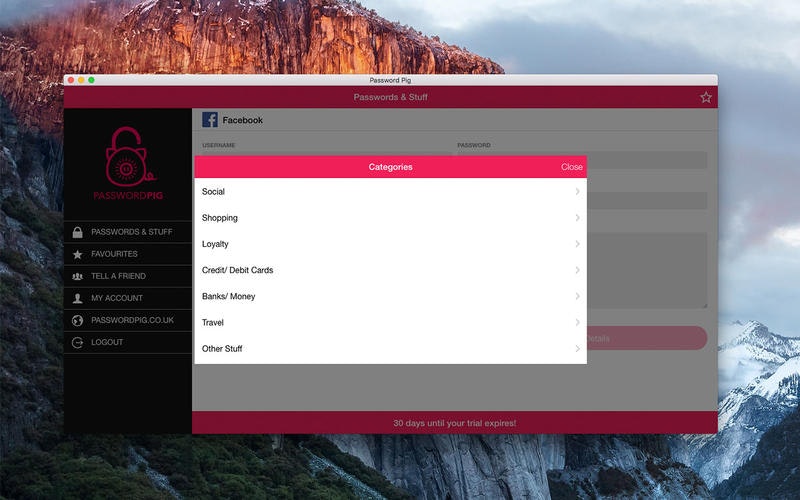 Password Pig gallery image