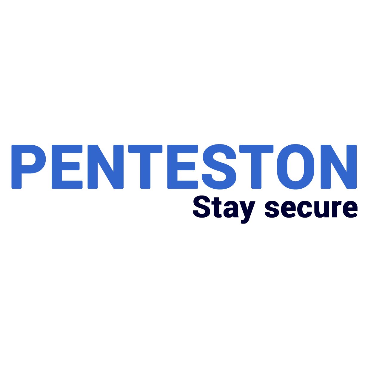 PENTESTON - Vulnerability assessment workbench