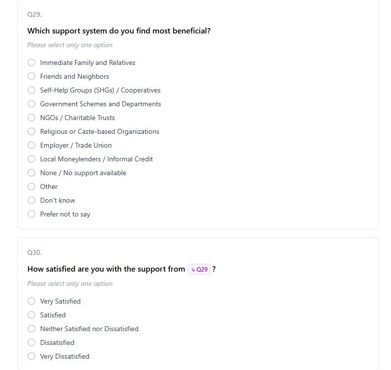Survey Copilot gallery image