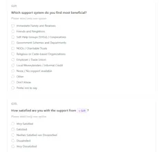 Survey Copilot gallery image