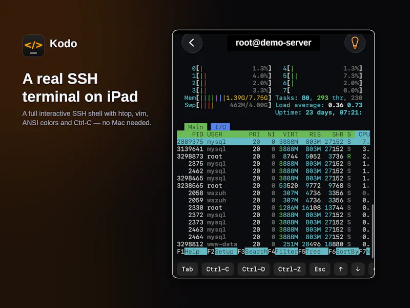 Kodo screenshot 4