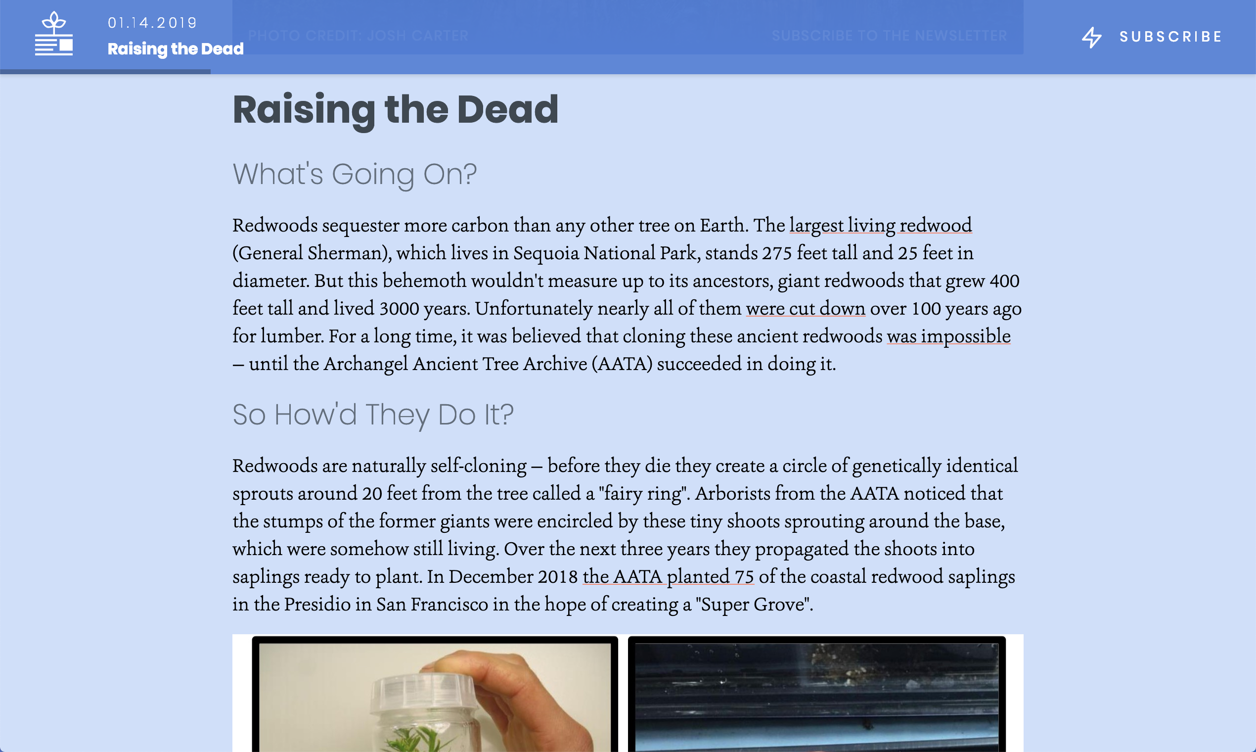 The Compost gallery image