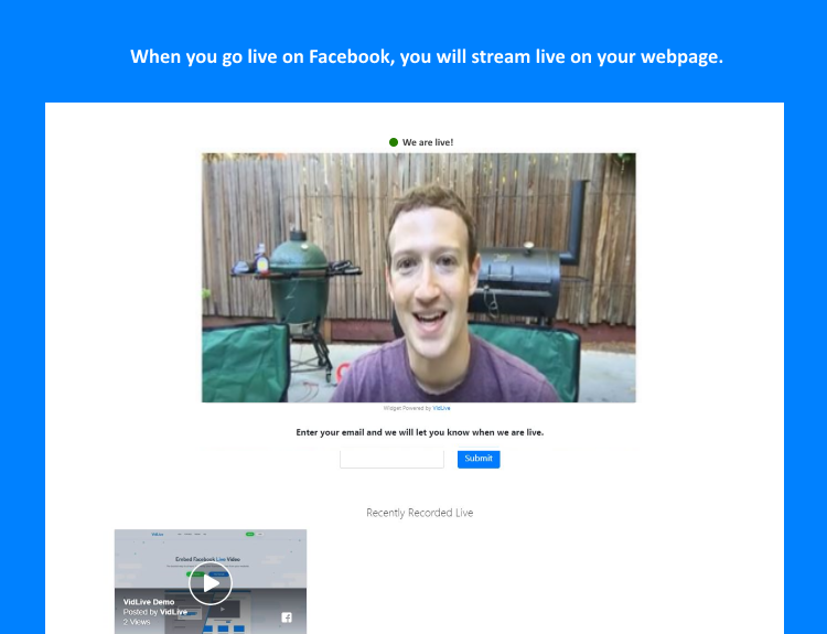 VidLive gallery image