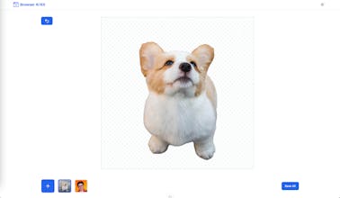 Remove Backround gallery image