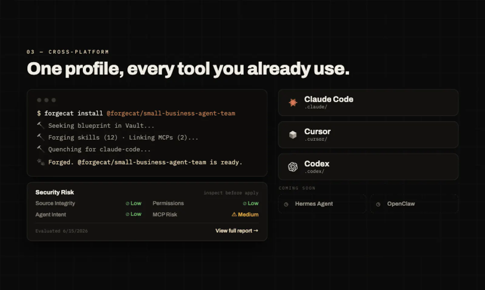 ForgeCat screenshot 4