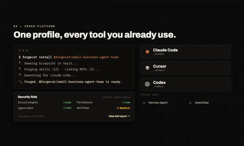 ForgeCat screenshot 4