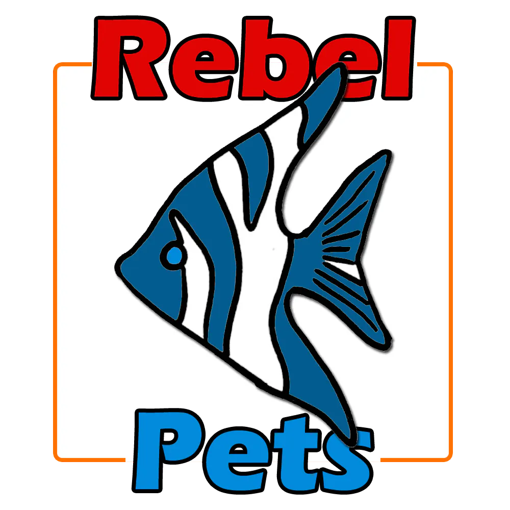 Rebel Pets gallery image