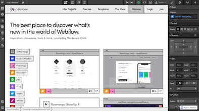 Flowmingo Discover gallery image