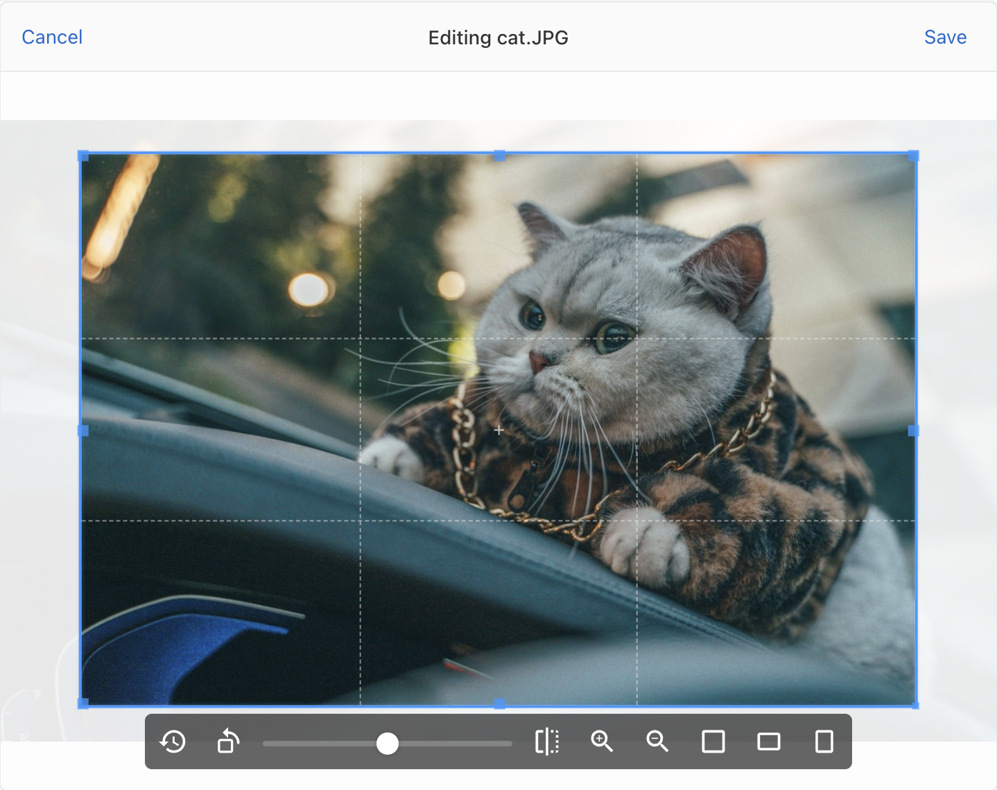 Uppy 4.0 media 5