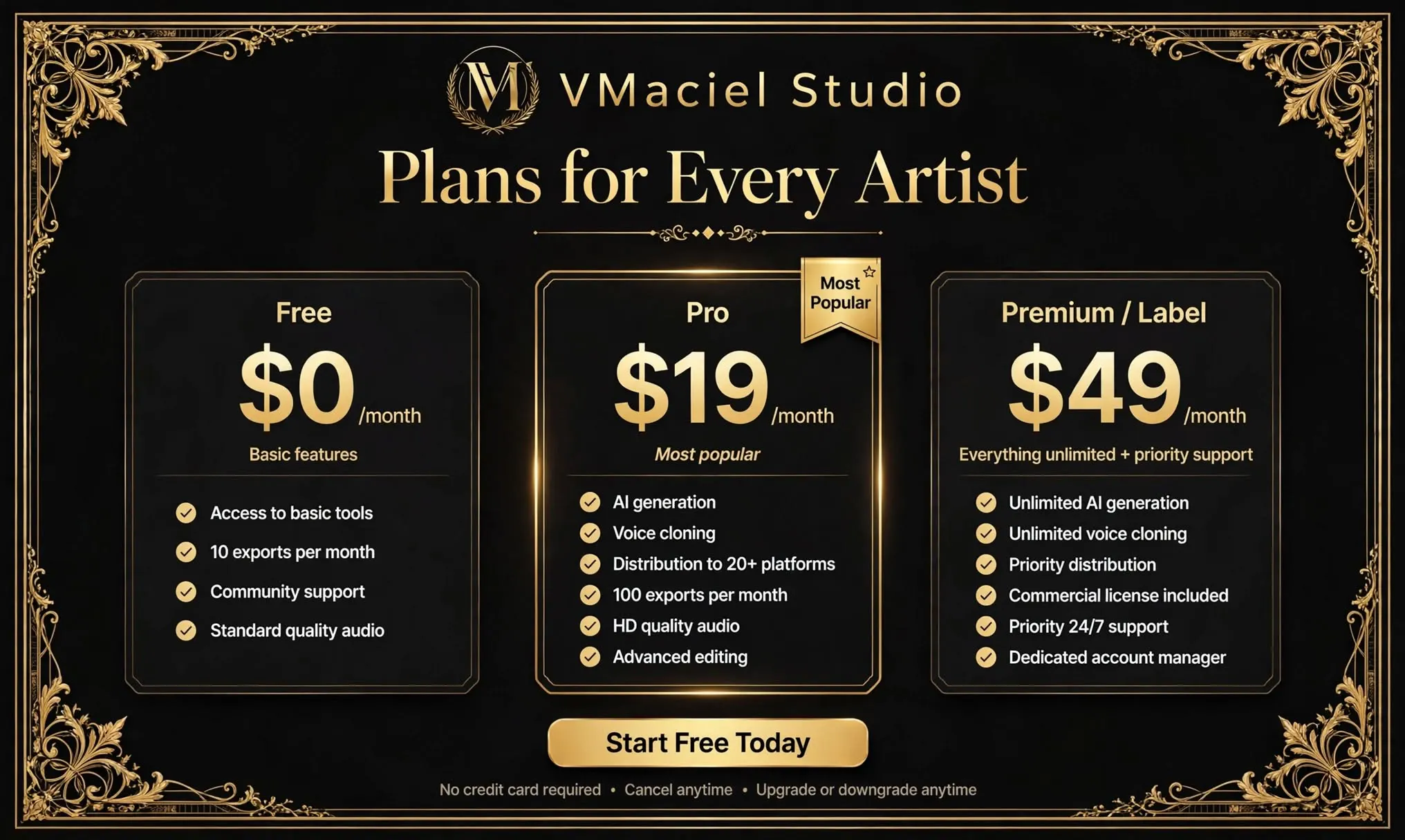 VMaciel Studio gallery image
