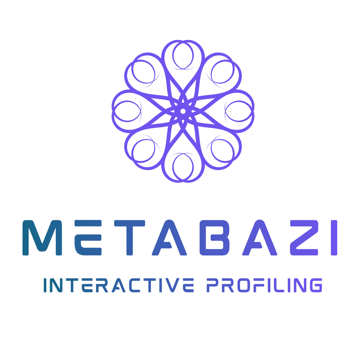 Meta BaZi - Main product screenshot demonstrating key features and user interface