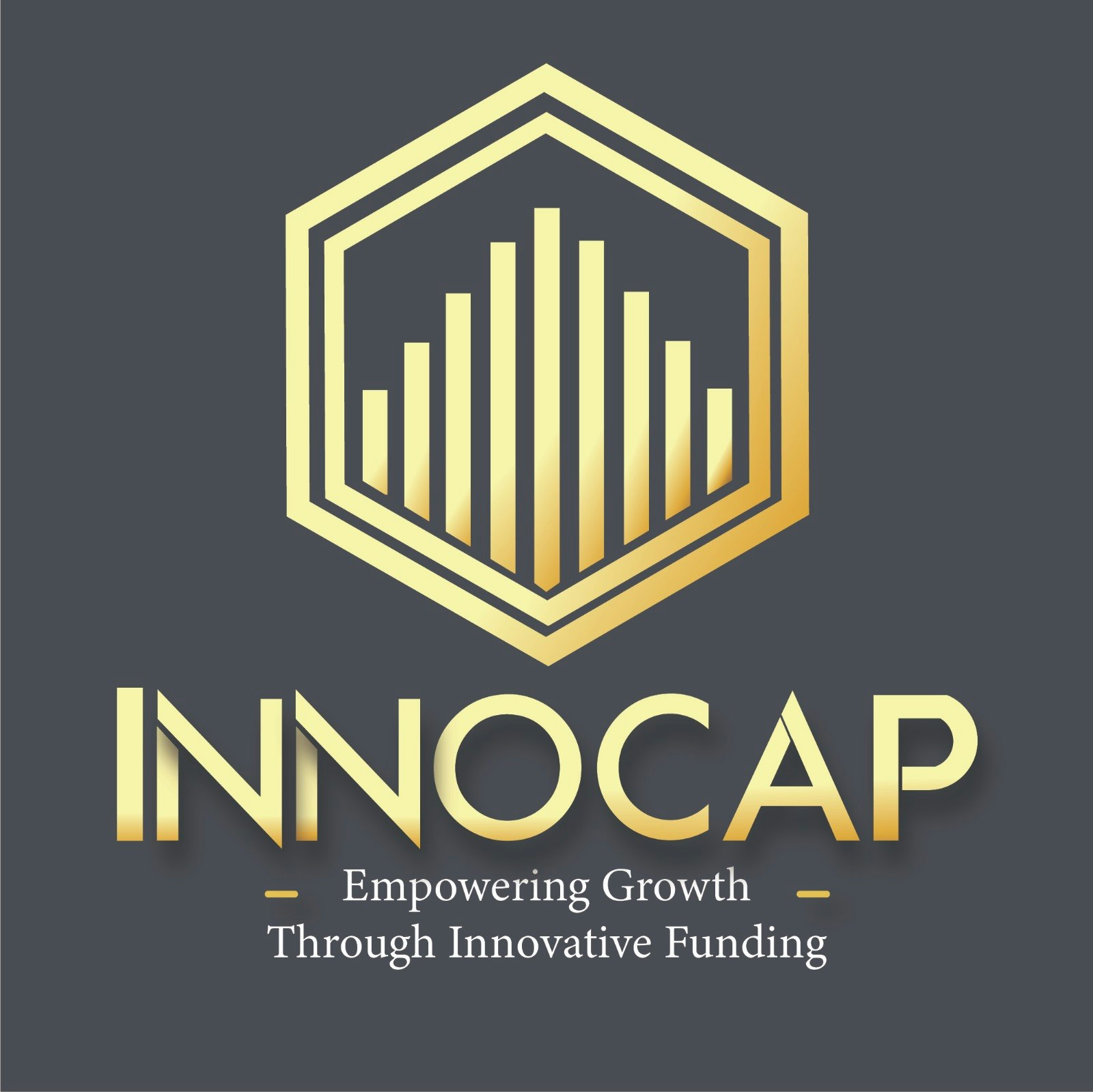 What is Innocap, and how does it help ? - Main product screenshot demonstrating key features and user interface