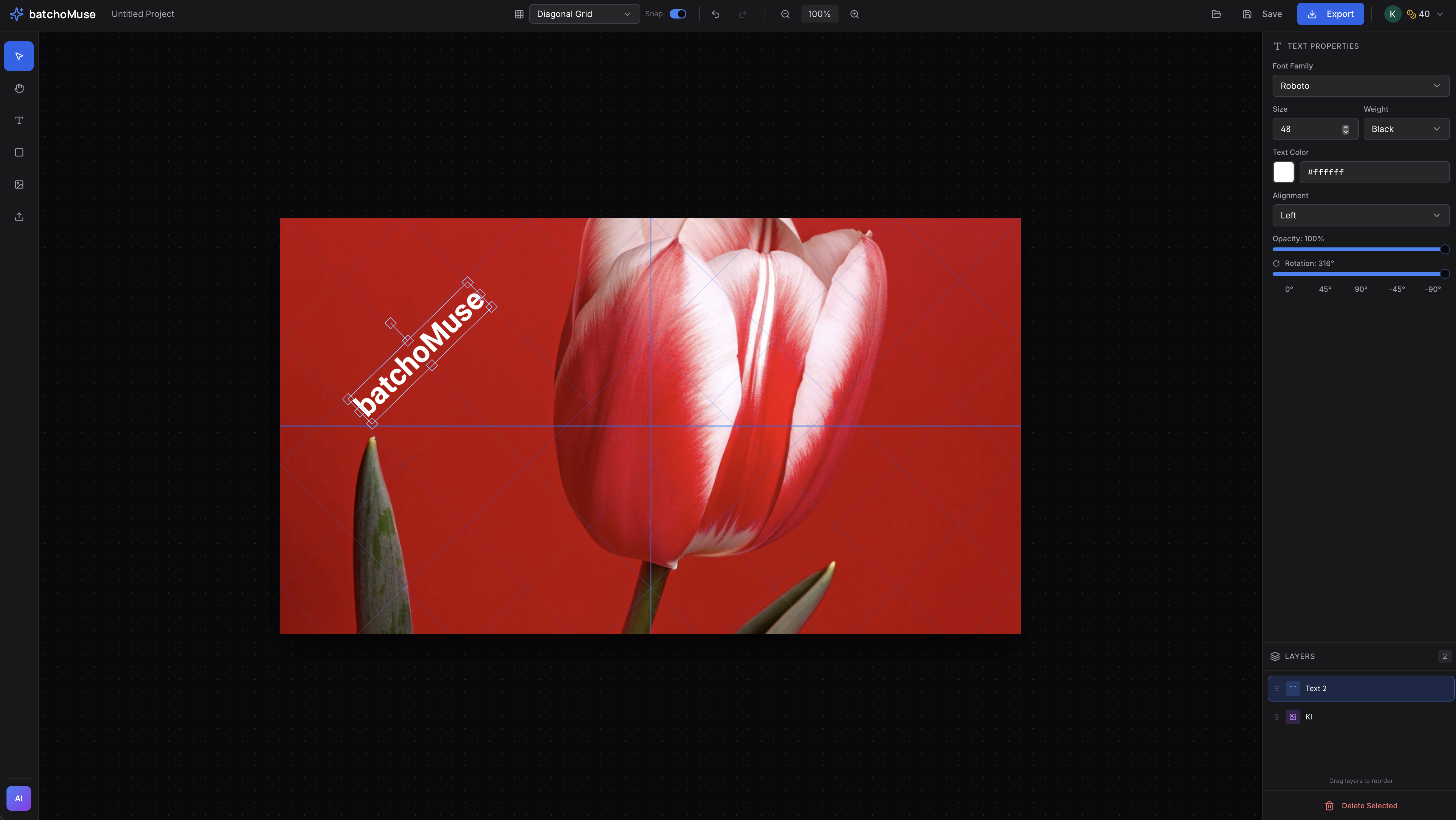 BatchoMuse gallery image