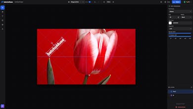 BatchoMuse gallery image