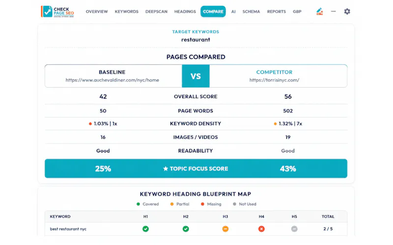 Check Page SEO screenshot 3