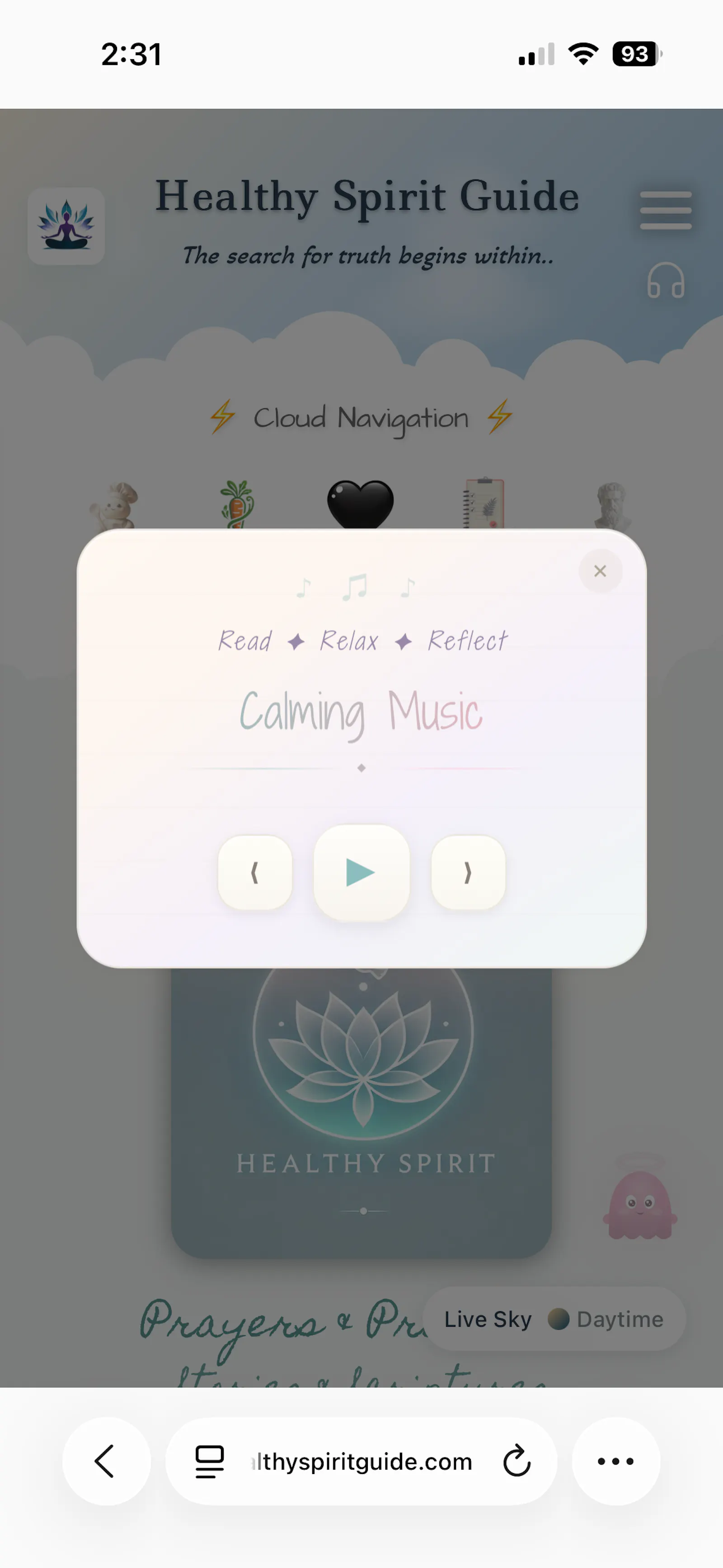 Healthy Spirit Guide screenshot 19