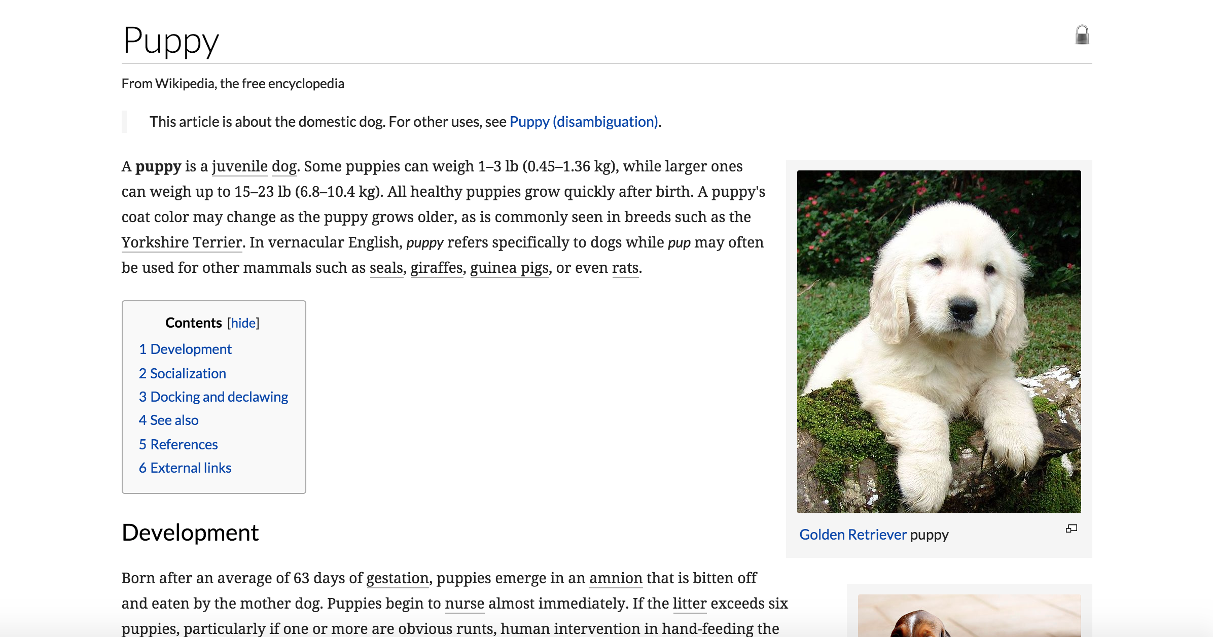 Wikibeautiful gallery image