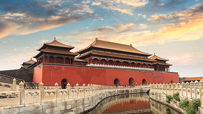 Travel With Pro gallery image