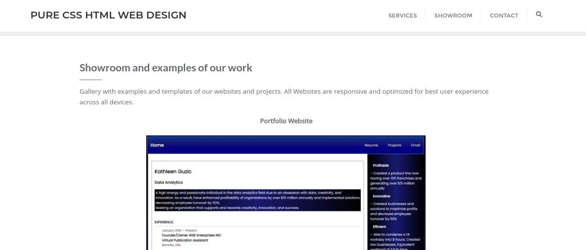 순수한 CSS HTML 웹 디자인 - 웹 사이트 디자인 및 호스팅 서비스 미디어 3