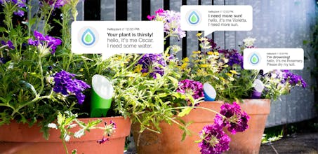 helloplant gallery image