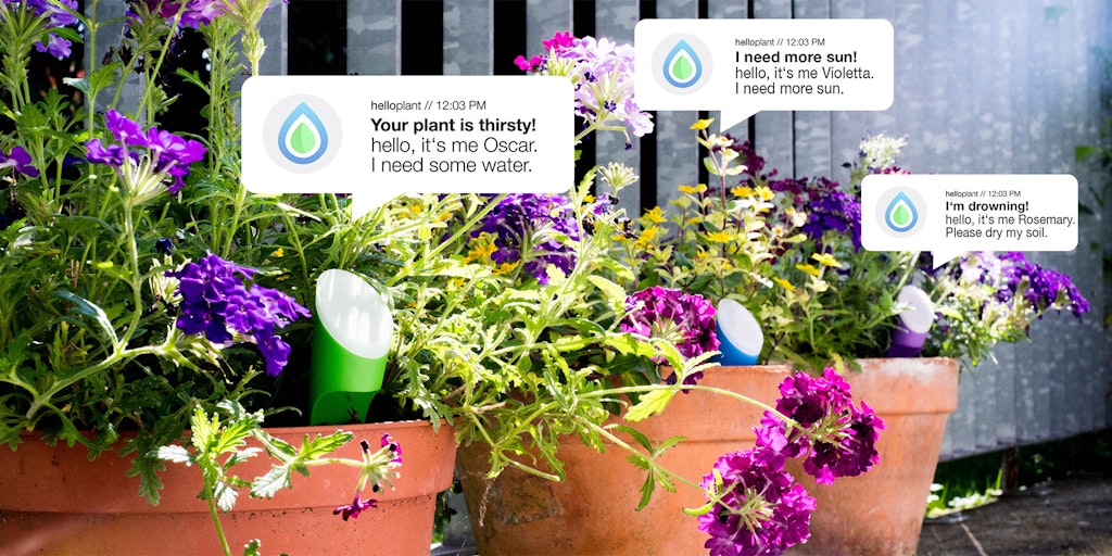 helloplant Image