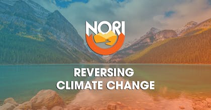 Carbon Removal Market by Nori gallery image