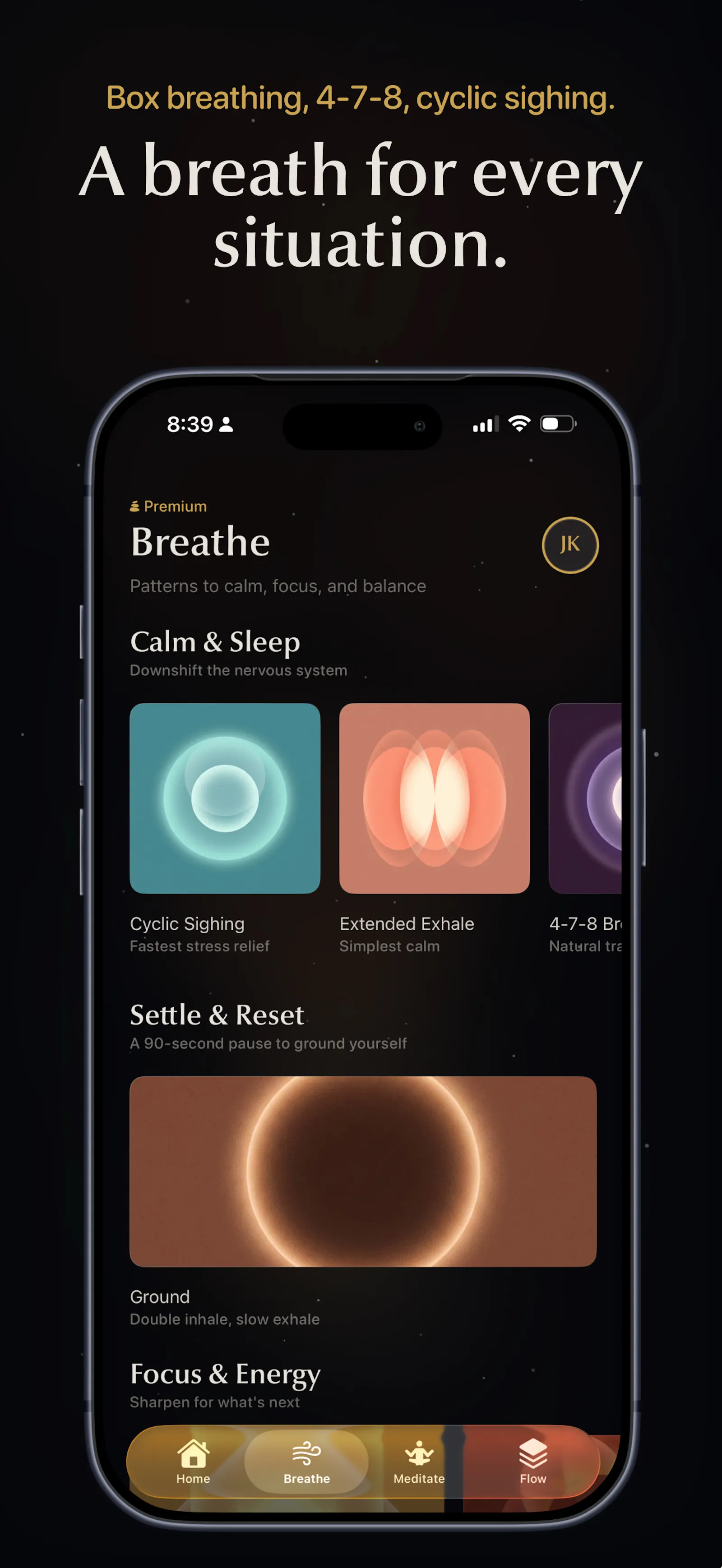 Settl screenshot 4