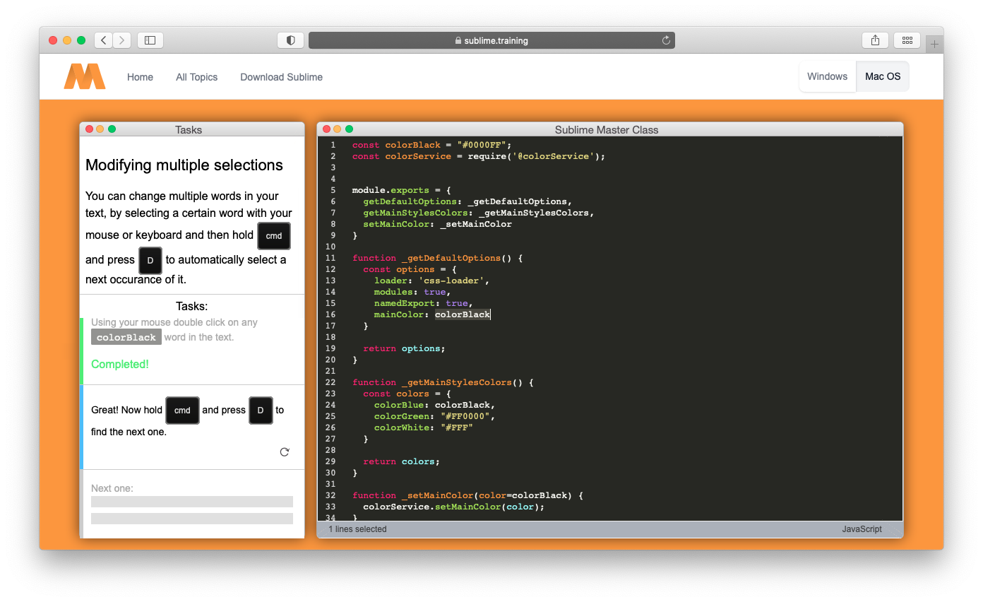 Sublime Text Master Class gallery image