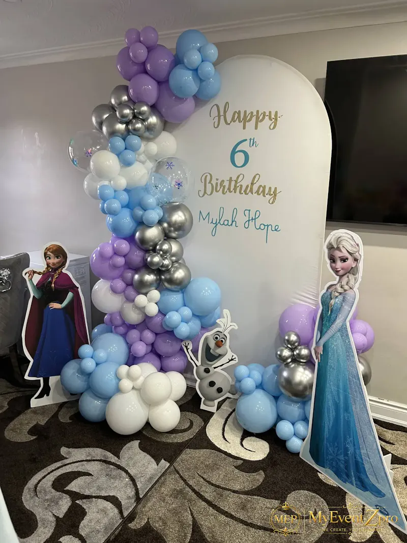 Frozen Theme Birthday Balloon Backdrop screenshot 1