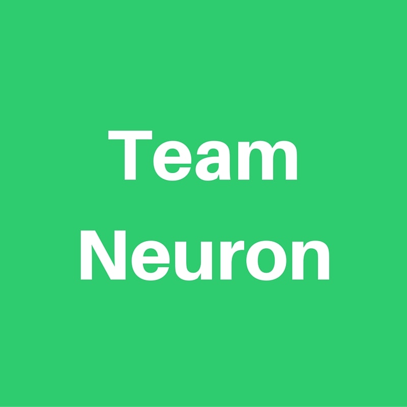 Team Neuron