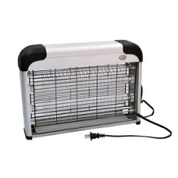Insect Fly Catchers