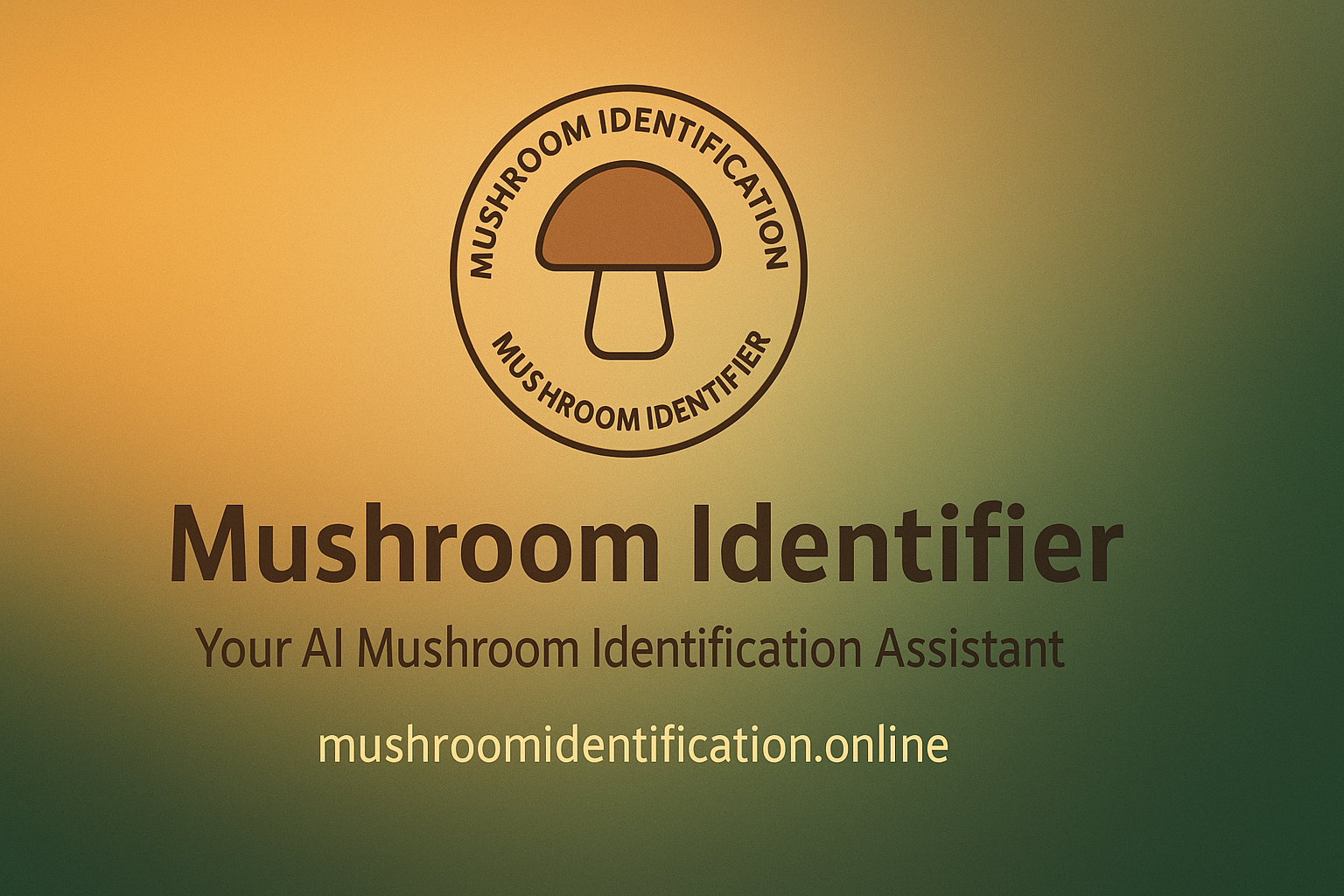 Média Identification des champignons - Un identifiant de champignons AI simple pour une pièce d'identité de champignon rapide 1