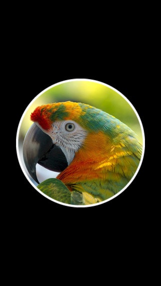 22 Clues gallery image