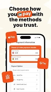 Remit choice Send Money Home - Screenshot 5 showing product features and functionality