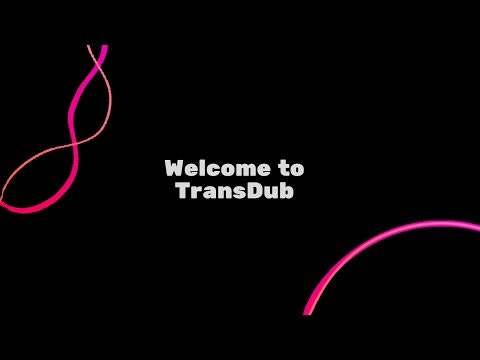 Transdub — screenshot 1 showing tool features and UI